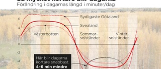 Hög fart mot mörkret