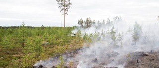 Tidskrävande släckningsarbete vid skogsbrand