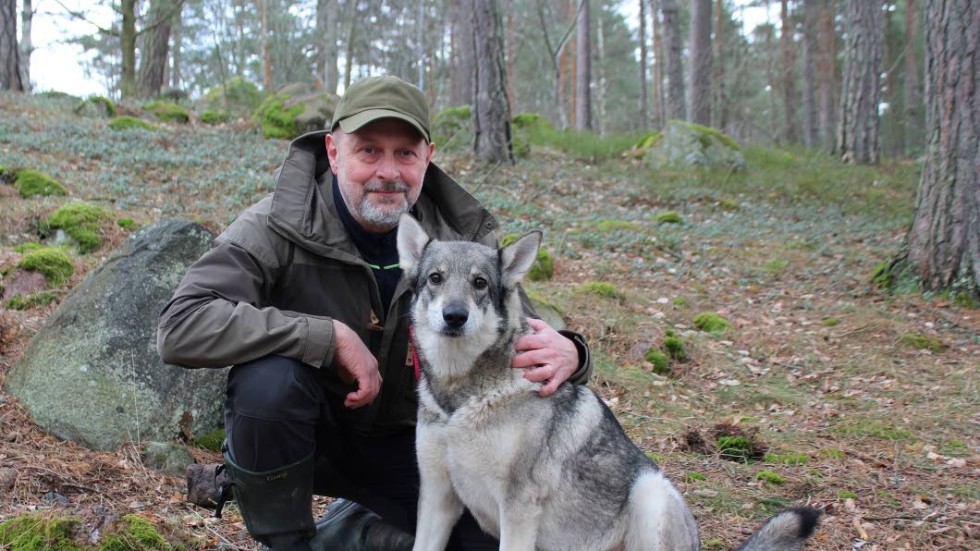 Samarbetet med hundarna är det främsta skälet till att Peter Ekeström älskar jakt. Här tillsammans med Orka, en jämthund som jagar älg och vildsvin.