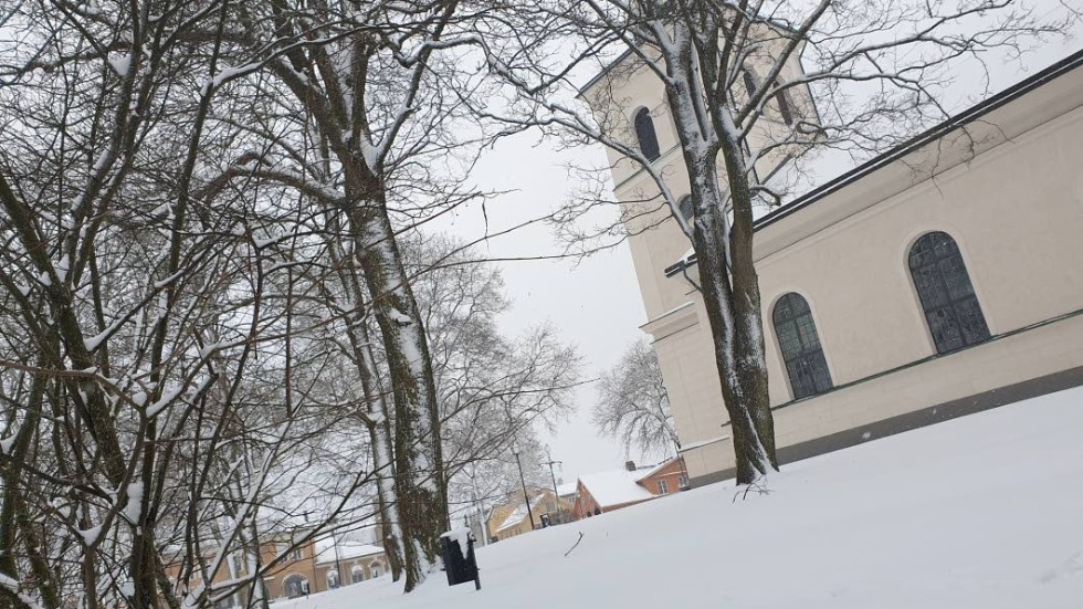 2019-02-21. Kl. 13:05. Än ligger snön över krokusarna i kyrkparken i Vimmerby.