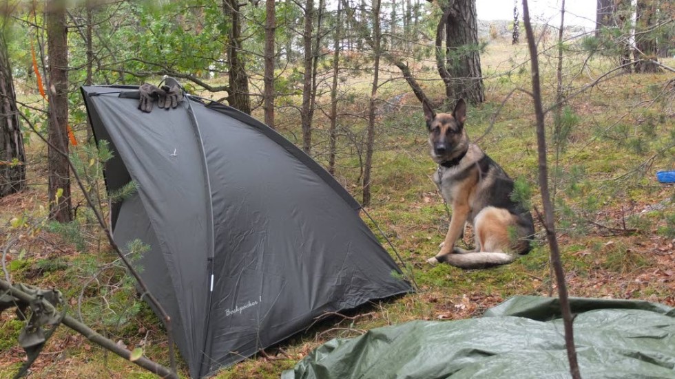 Förläggning. I tältet sover såväl hund som hundförare.