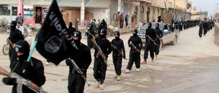 IS-krigare från Norrköping död