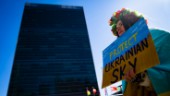 Nytt Ukrainamöte i säkerhetsrådet