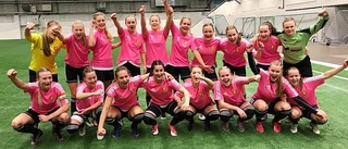 Östergötland klart för semifinal