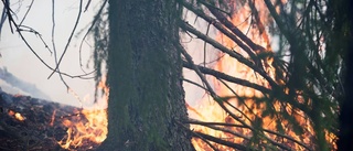 Hög risk för skogsbrand i helgen