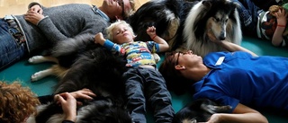 Terapihundar lockar barn att träna