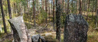 Vackert gränsröse markerar Finspångs sydspets