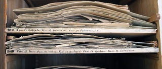 Hjertstedts herbarium på plats i Rödtornet