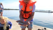 Unga entusiaster nappade på fiskeskola