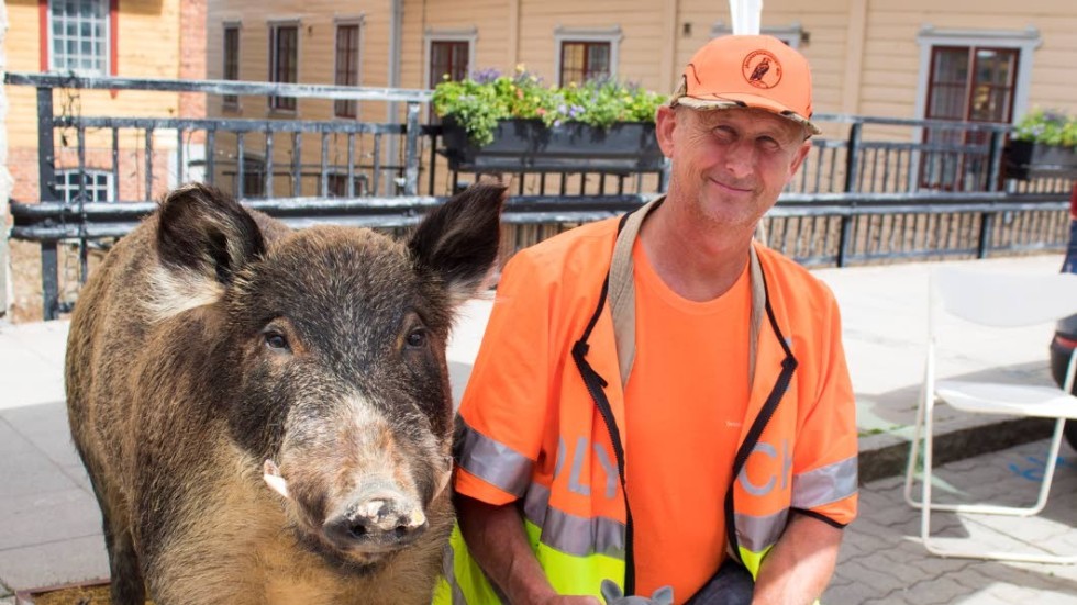 Bertil Almquist från Jaktvårdskretsen i Mjölby har sällskap av ett väldigt svin denna Broarnas dag, och dessutom av en liten grymtande typ. Här ges information om viltolyckor, särskilt med vildsvin som bara blir fler och fler.