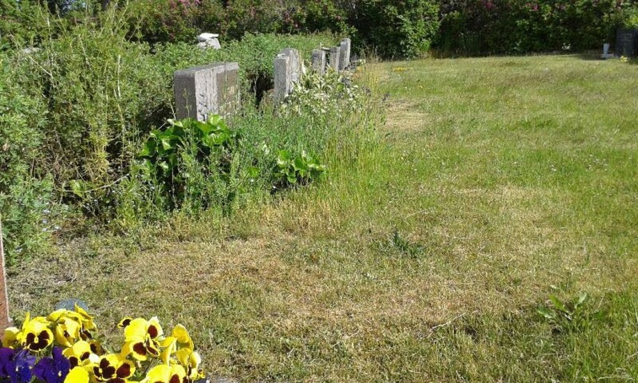 Nu höjs röster mot att kyrkogårdarna missköts. Sedan förra året ansvarar varje gravrättsinnehavare för skötseln närmast gravstenen. Antingen man klipper gräset själv eller betalar för att få det gjort. Det har bidragit till att vissa gravplatser är vildvuxna.
