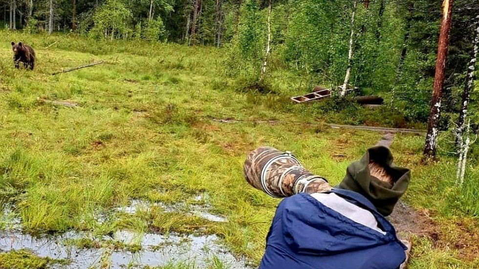 På väg till bilen mötte Fredrik Karlsson Ideström den här björnen som han fångade på bild.