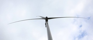 Vinden har vänt för vindkraftbolaget