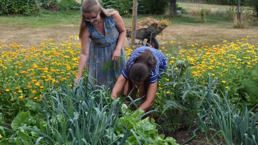 Linnea Granath och Sara Wennerbo undersöker Wennerbos odlingar.