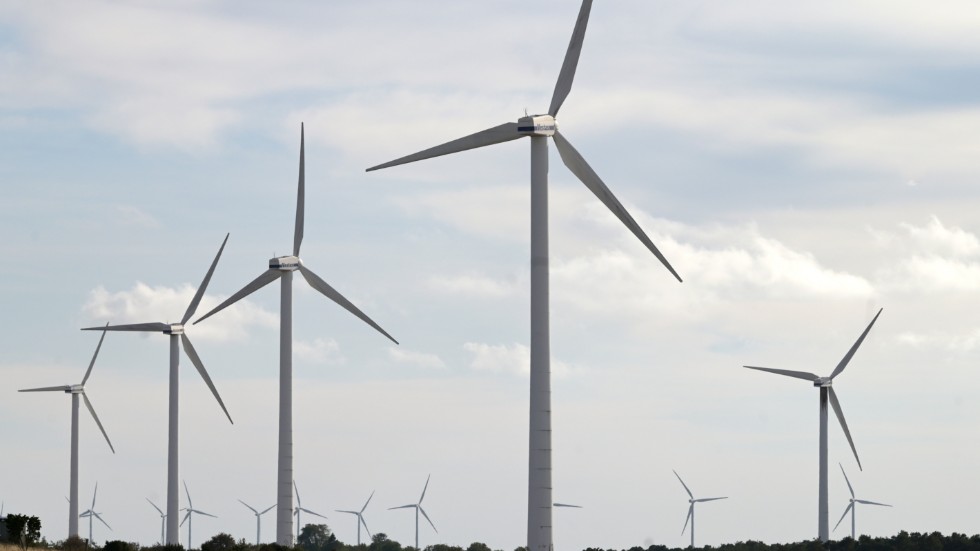Subventioner av vindkraft leder till negativa elpriser.