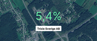 Trixie Sverige AB visar fortsatt tillväxt