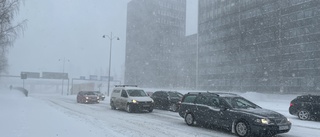 Snöovädret satte inte stopp för matleveranserna