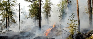 Ännu en skogsbrand i Jokkmokk