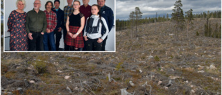Kravet: Stopp för kalavverkningar i Luleå • "För varje kalhygge förstör man ett ekosystem"