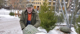 Gunnar har sålt julgranar i 60 år