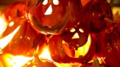Då är rätt dag att fira halloween • Traditionsexperten: "Förvirringen kring datum gör att det blir svårt" 