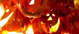 Då är rätt dag att fira halloween • Traditionsexperten: "Förvirringen kring datum gör att det blir svårt" 