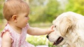 Lägre risk för barnastma med hundtik i hemmet