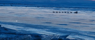 Årets upplaga av de 160 mil långa Iditarod drabbades av mycket stormar: "Några blev insnöade i flera dygn"