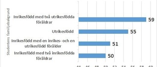 Allt fler med utländska rötter går vidare till högskolan