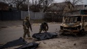 Polisen söker ögonvittnen till krigsbrott i Ukraina