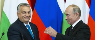 Orbán bjuder in Putin till möte
