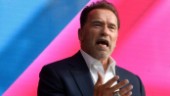 Schwarzenegger till Putin: Stoppa kriget