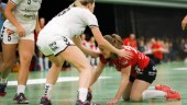 Vad kan du om sportåret 2017?