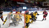 Här är Piteå Hockeys resa senaste tio åren – 2018 var det kvalfest