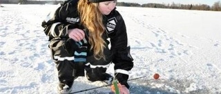 Fisken fångas med fiolmusik