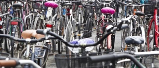 Häktad - för hundratals cykelstölder
