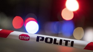 Varning för övertro på danska idéer