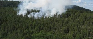 Svärsläckt skogsbrand