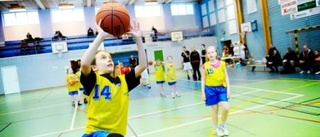 Basket och lek på Bergs