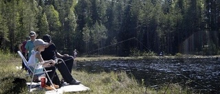 Fisken var på hugget i Sikfors