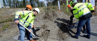 Spaden i jorden för Kronandalen