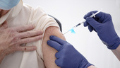 Vaccin: Primärvårdens resurser blir kraftigt reducerade
