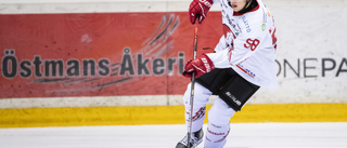 Uppgifter: Succébacken återvänder till Luleå Hockey