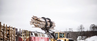 Norra Skog satsar på tågtransporter: "Verkligen helt rätt"