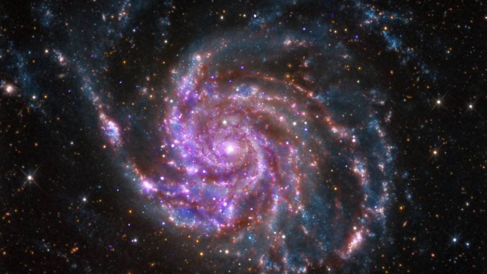 Med hjälp av kraftfulla datorsimuleringar har forskare vid Lund universitet lyckats kartlägga hur en spiralgalax, som vår egen Vintergatan, bildades. På bilden spiralgalaxen M101.