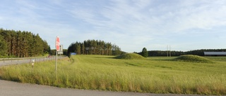 Här låg en kung begraven – berättar om 600-talets Gamleby • Storgårdens plats en gåta