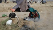 Antalet döda civila ökar i Afghanistan