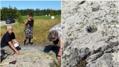 Stort arkeologiskt fynd i Björnlunda – hittade skålgropar från bronsåldern: "Blev lyrisk"