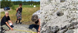 Stort arkeologiskt fynd i Björnlunda – hittade skålgropar från bronsåldern: "Blev lyrisk"