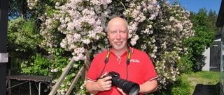 Rolf hobbyfotograferar fjärilar – på uppdrag av länsstyrelsen 